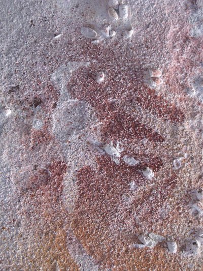 Stencil di Uccello 2 da Unbekannt Unbekannt